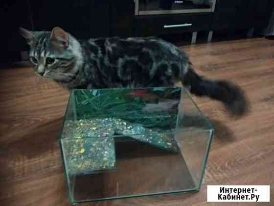 Аквариум Краснодар