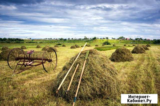 Техника для сенокоса Новосибирск - изображение 1