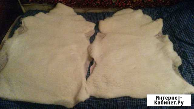 Продам шкуры овчина Пенза - изображение 1