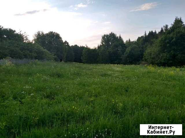 Участок 17 сот. (ИЖС) Луга - изображение 1