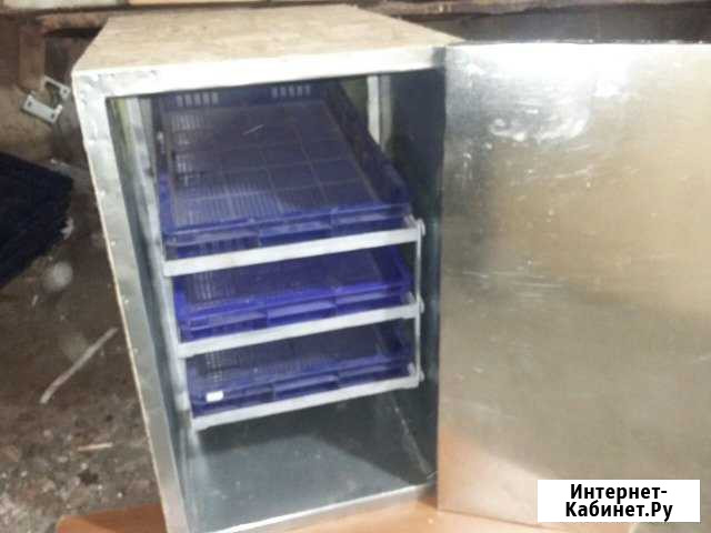 Инкубаторы Курганинск - изображение 1