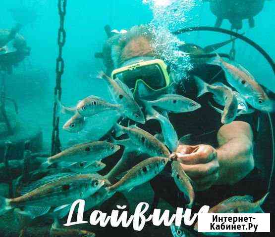 Дайвинг с инструктором Сочи