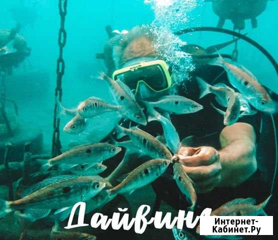 Дайвинг с инструктором Сочи - изображение 1
