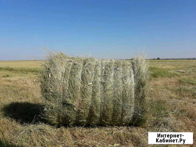 Сено луговое в рулонах Ростов-на-Дону - изображение 1