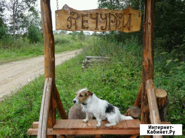 Дом 50 кв.м. на участке 30 сот. Пустошка - изображение 1