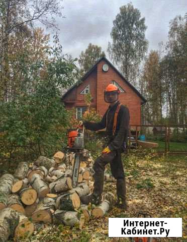 Спил деревьев Самара - изображение 1