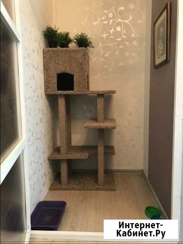 PetsWill - отель для кошек и собак любых размеров Бугры - изображение 1