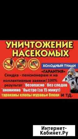 Уничтожение насекомых, тараканов, клопов, блох, де Волгоград