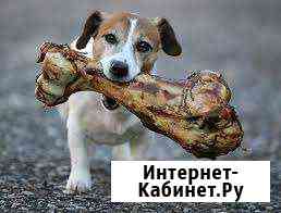 Корм для собак Обнинск
