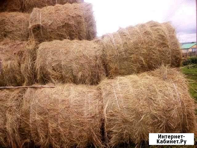 Сено Туймазы - изображение 1