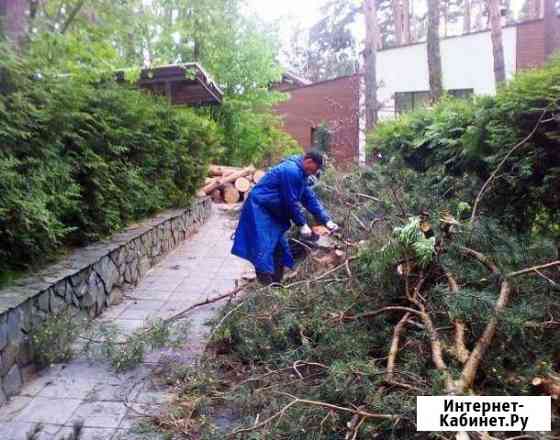 Благоустройство садового участка Липецк