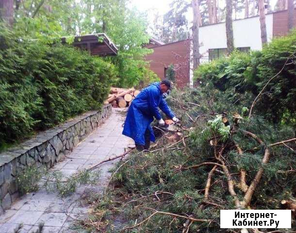 Благоустройство садового участка Липецк - изображение 1