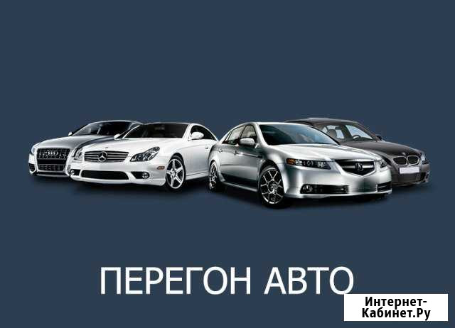 Подбор и перегон автомобиля Санкт-Петербург - изображение 1