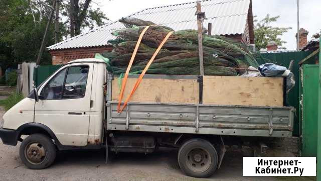 Вывоз мусора Ростов-на-Дону - изображение 1