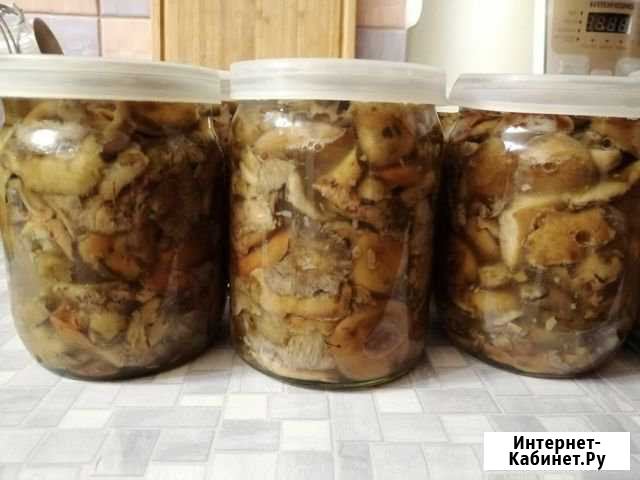 Солёные рыжики Вологда - изображение 1
