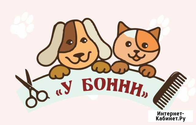 Стрижка собак и кошек Каменск-Уральский - изображение 1