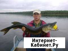 Отдых и рыбалка на о.Пяозеро Лоухи - изображение 1