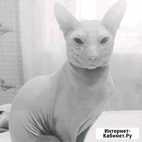 Вязка Ишим - изображение 1