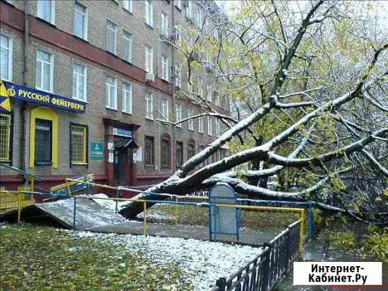 Спил деревьев Сальск
