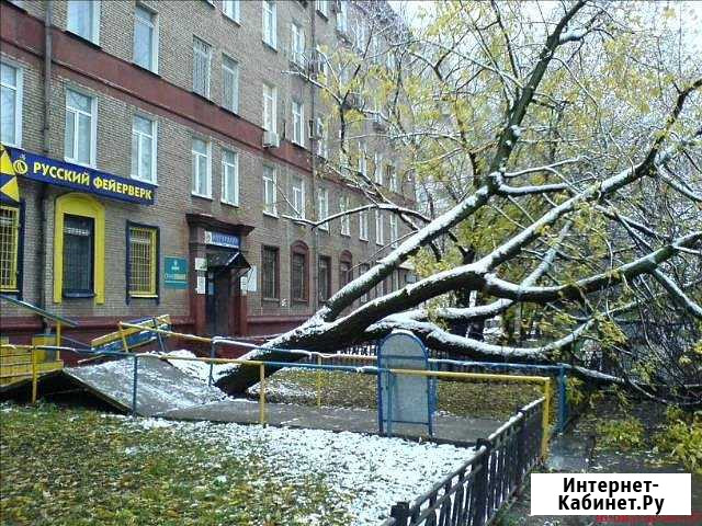Спил деревьев Сальск - изображение 1