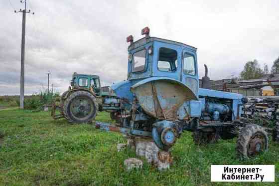 Трактор Т-40ам Кологрив