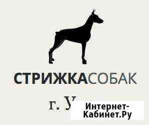 Стрижка собак и кошек в Ухте Ухта