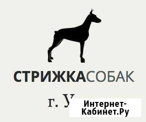 Стрижка собак и кошек в Ухте Ухта - изображение 1
