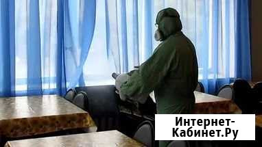 Уничтожим клопов тараканов муравьев Туманом Быстро Красноярск - изображение 1