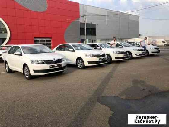 Skoda rapid Новая в Прокат посуточно Армавир