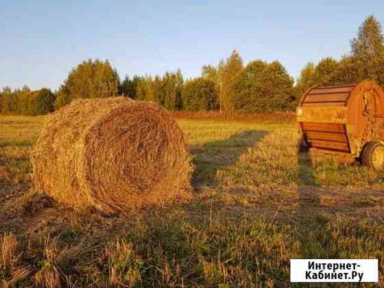 Сено и солома в рулоне Родники