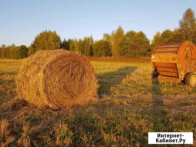 Сено и солома в рулоне Родники - изображение 1