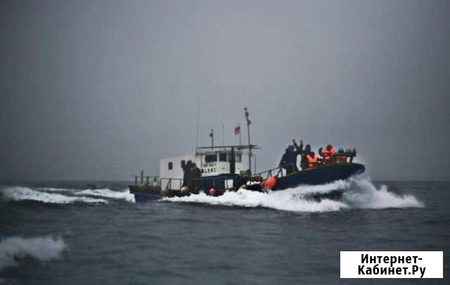 Морская рыбалка, прогулки. Териберка Североморск-3 - изображение 1
