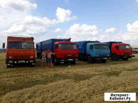 Перевозка сельскохозяйственной продукции. Камаз Курск
