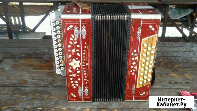 Гармони Любительские Новокузнецк - изображение 1