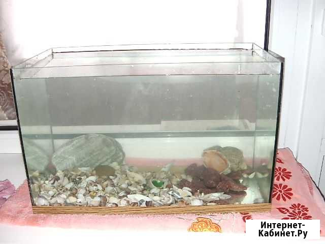 Аквариум Новороссийск - изображение 1