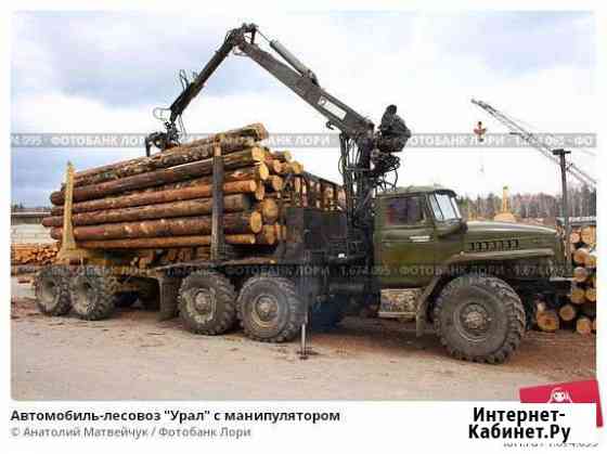 Услуги по вывозке леса с делянок Кириши