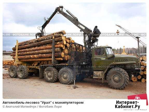 Услуги по вывозке леса с делянок Кириши - изображение 1