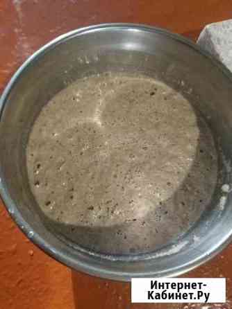 Закваска для любого бездрожжевого хлеба Омск