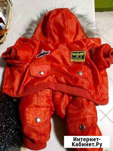 Одежда для собак Пенза - изображение 1