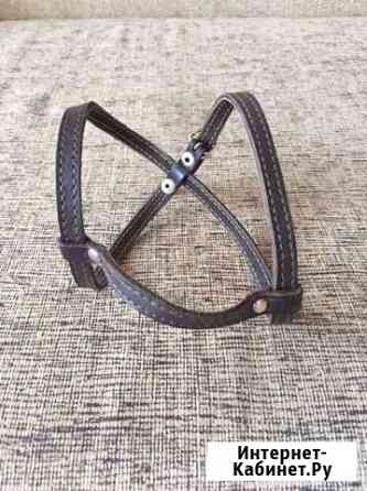 Шлейка для собаки Кемерово