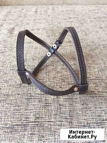 Шлейка для собаки Кемерово - изображение 1