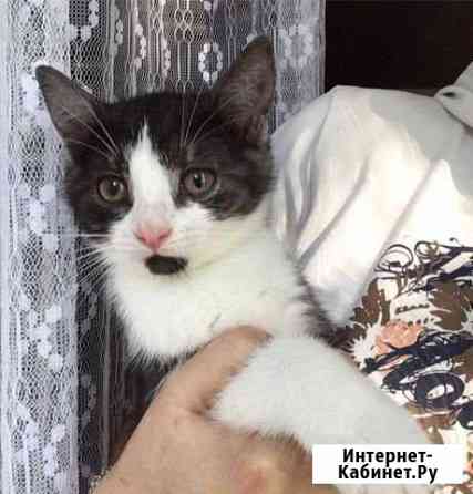 Луна 3 мес Королев