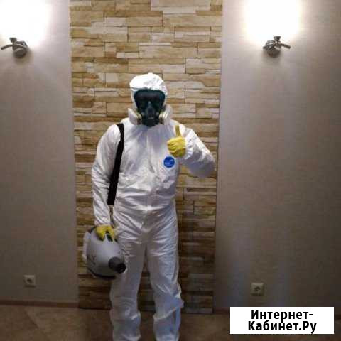 Травим клещей, тараканов, клопов, мышей Таганрог - изображение 1