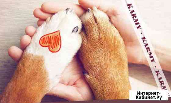 Корм для собак и кошек Karmy Оренбург