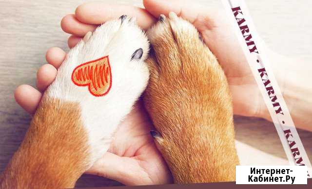 Корм для собак и кошек Karmy Оренбург - изображение 1