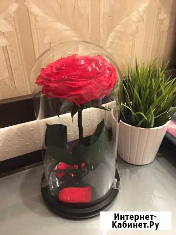 Роза в колбе 40 см Мурманск - изображение 1