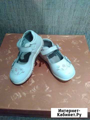 Праздничные туфли Владимир - изображение 1