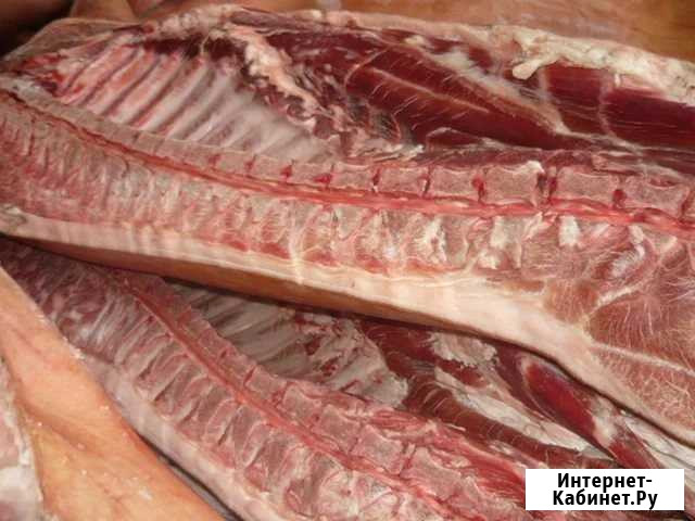 Продам домашнюю свинину Каневская - изображение 1