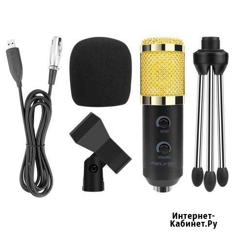 Микрофон BM-900 Чехов - изображение 1
