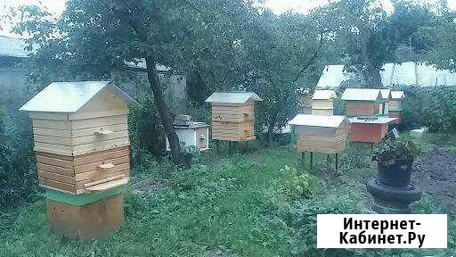 Мёд Калининград - изображение 1